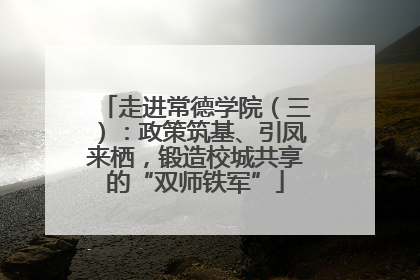 走进常德学院（三）：政策筑基、引凤来栖，锻造校城共享的“双师铁军”