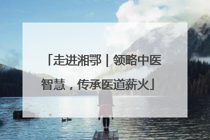 走进湘鄂｜领略中医智慧，传承医道薪火