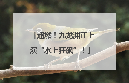 超燃！九龙渊正上演“水上狂飙”！