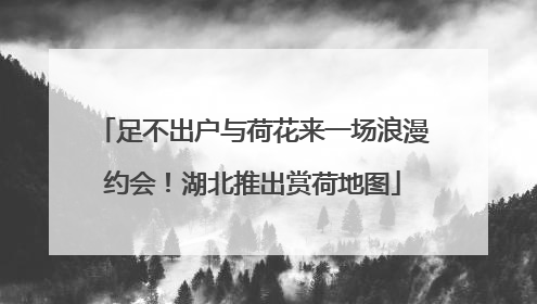 足不出户与荷花来一场浪漫约会！湖北推出赏荷地图