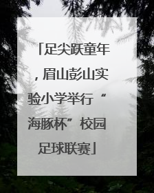 足尖跃童年，眉山彭山实验小学举行“海豚杯”校园足球联赛