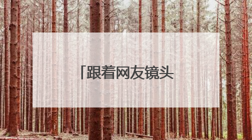 跟着网友镜头看高考｜葵花向阳开，少年赴未来，安乡高考首日的希望图景