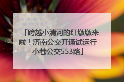 跨越小清河的红墩墩来啦！济南公交开通试运行小巷公交553路