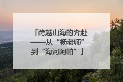 跨越山海的奔赴——从“杨老师”到“海河阿帕”