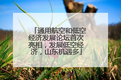 通用航空和低空经济发展论坛首次亮相，发展低空经济，山东机遇多