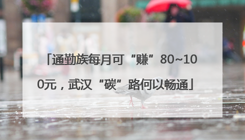 通勤族每月可“赚”80~100元，武汉“碳”路何以畅通