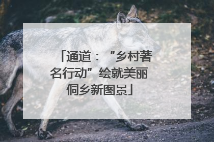 通道：“乡村著名行动”绘就美丽侗乡新图景
