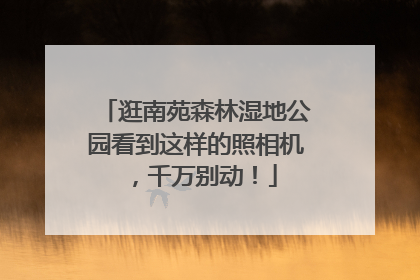 逛南苑森林湿地公园看到这样的照相机，千万别动！