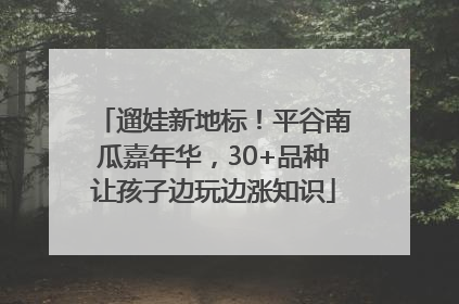 遛娃新地标！平谷南瓜嘉年华，30+品种让孩子边玩边涨知识