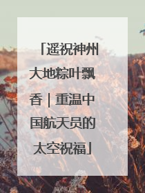 遥祝神州大地粽叶飘香｜重温中国航天员的太空祝福