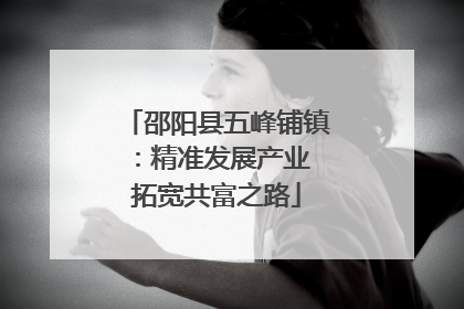 邵阳县五峰铺镇：精准发展产业 拓宽共富之路