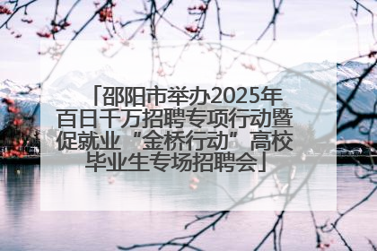 邵阳市举办2025年百日千万招聘专项行动暨促就业“金桥行动”高校毕业生专场招聘会