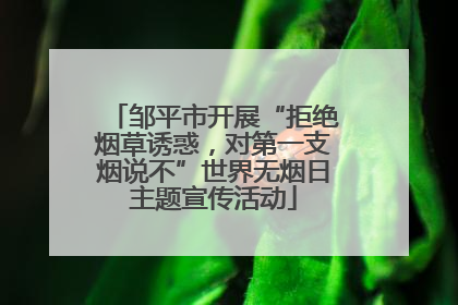 邹平市开展“拒绝烟草诱惑，对第一支烟说不”世界无烟日主题宣传活动