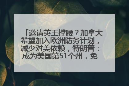 邀请英王撑腰？加拿大希望加入欧洲防务计划，减少对美依赖，特朗普：成为美国第51个州，免费用“金穹”