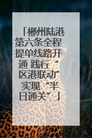 郴州陆港第六条全程提单线路开通 践行“区港联动” 实现“半日通关”