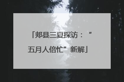 郏县三夏探访：“五月人倍忙”新解