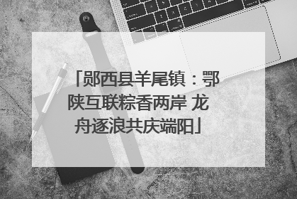 郧西县羊尾镇：鄂陕互联粽香两岸 龙舟逐浪共庆端阳