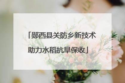郧西县关防乡新技术助力水稻抗旱保收
