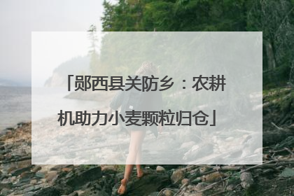 郧西县关防乡：农耕机助力小麦颗粒归仓