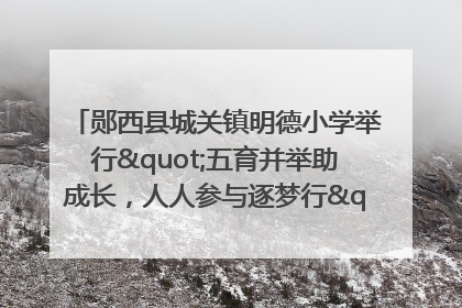 郧西县城关镇明德小学举行"五育并举助成长，人人参与逐梦行"庆六一活动