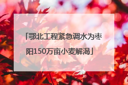 鄂北工程紧急调水为枣阳150万亩小麦解渴