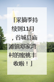 采摘季持续到11月，谷城县庙滩镇邓家湾村的蜜桃丰收啦！