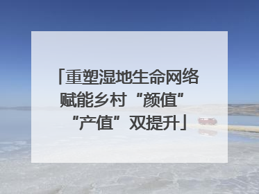 重塑湿地生命网络 赋能乡村“颜值”“产值”双提升