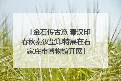 金石传古意 秦汉印春秋秦汉玺印特展在石家庄市博物馆开展