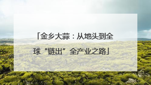 金乡大蒜：从地头到全球“链出”全产业之路