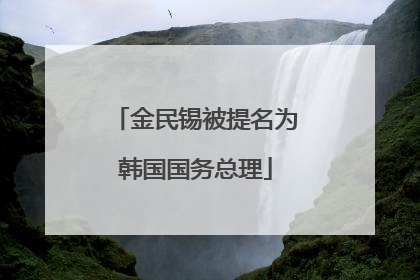 金民锡被提名为韩国国务总理