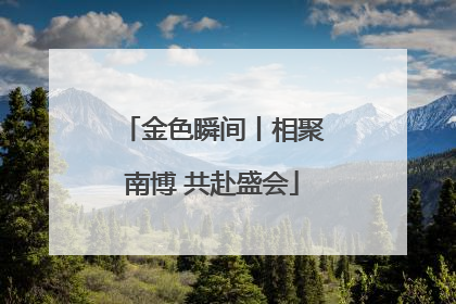 金色瞬间丨相聚南博 共赴盛会