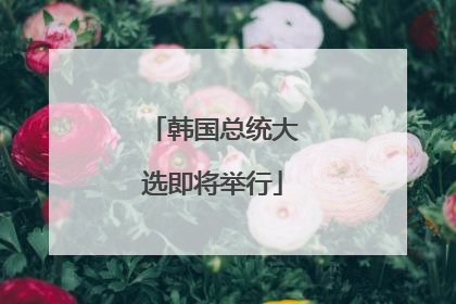 韩国总统大选即将举行