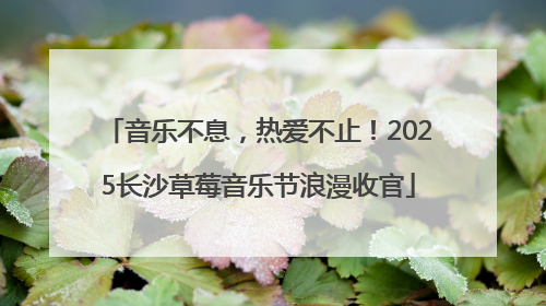 音乐不息，热爱不止！2025长沙草莓音乐节浪漫收官