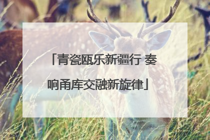 青瓷瓯乐新疆行 奏响甬库交融新旋律