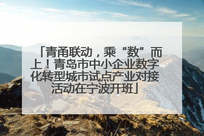 青甬联动，乘“数”而上！青岛市中小企业数字化转型城市试点产业对接活动在宁波开班