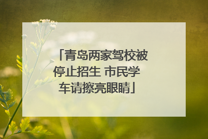 青岛两家驾校被停止招生 市民学车请擦亮眼睛