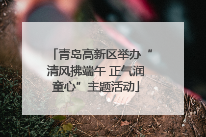 青岛高新区举办“清风拂端午 正气润童心”主题活动