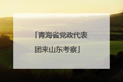 青海省党政代表团来山东考察