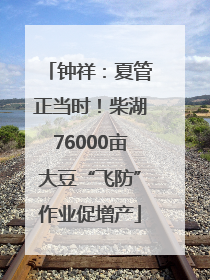 钟祥：夏管正当时！柴湖76000亩大豆“飞防”作业促增产