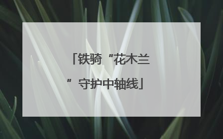 铁骑“花木兰”守护中轴线