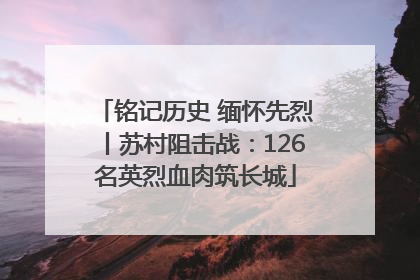 铭记历史 缅怀先烈丨苏村阻击战：126名英烈血肉筑长城
