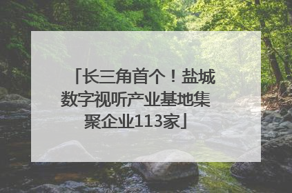 长三角首个！盐城数字视听产业基地集聚企业113家