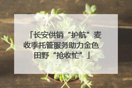 长安供销“护航”麦收季托管服务助力金色田野“抢收忙”