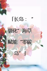 长岛：“驯化”海草赋能“零碳岛”
