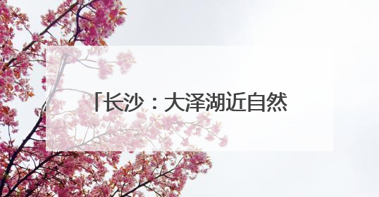 长沙：大泽湖近自然湿地公园正式开园