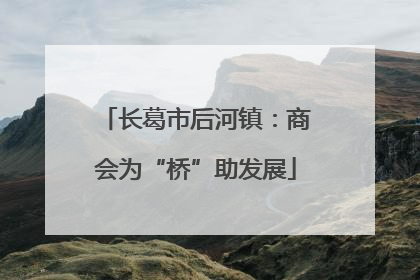 长葛市后河镇：商会为“桥”助发展