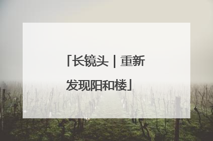 长镜头｜重新发现阳和楼