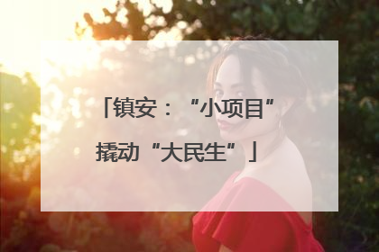 镇安：“小项目”撬动“大民生”
