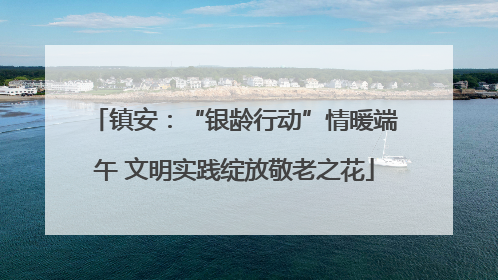 镇安：“银龄行动”情暖端午 文明实践绽放敬老之花