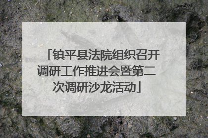 镇平县法院组织召开调研工作推进会暨第二次调研沙龙活动